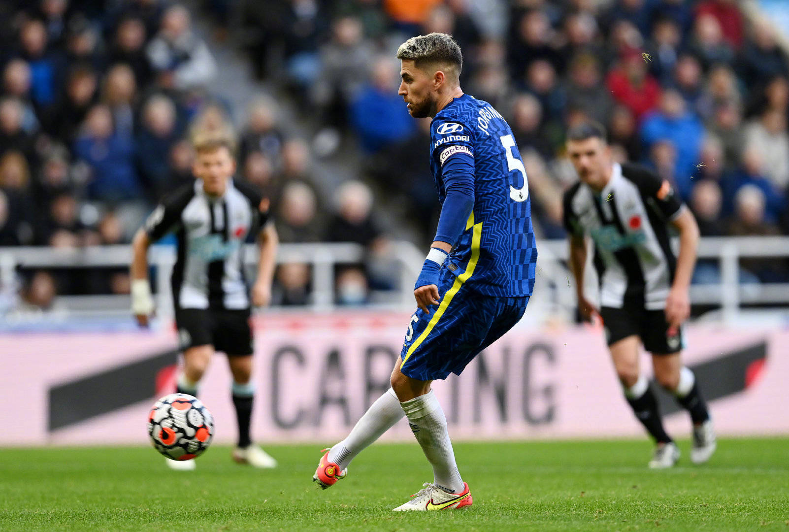 50吨植物油精炼设备